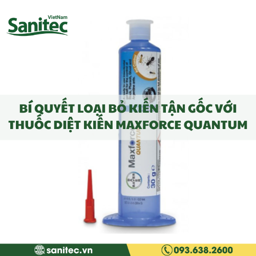 BÍ QUYẾT LOẠI BỎ KIẾN TẬN GỐC VỚI THUỐC DIỆT KIẾN MAXFORCE QUANTUM